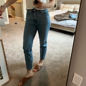 Everlane the curvy cheeky jean light wash straight leg size 25 crop